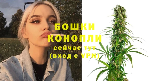 прущие крисы Белокуриха